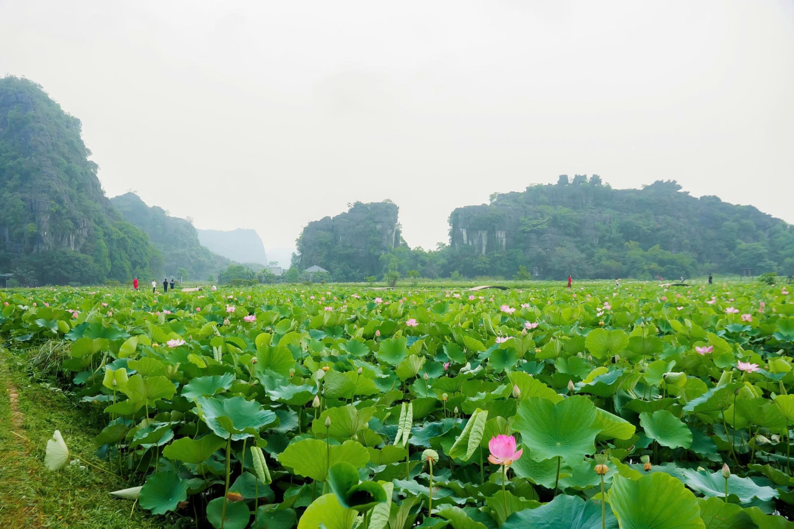 Việt Hàn Engineering 2025: Chuyến Du Hè Ninh Bình – Kết Nối Để Vươn Xa 10 Ninh Bình 2